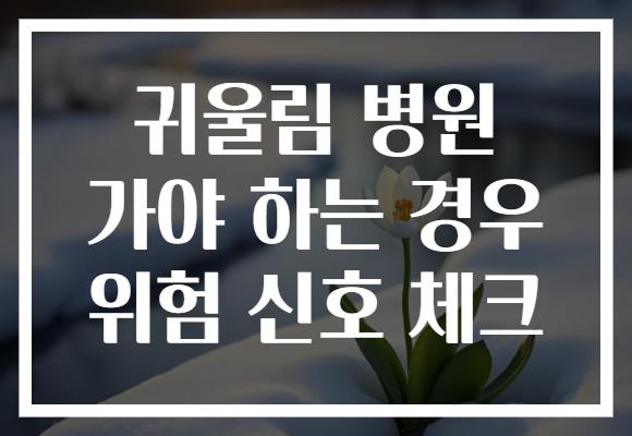 귀울림 병원 가야 하는 경우 위험 신호 체크 귀울림 병원 가야 하는 경우 위험 신호 체크