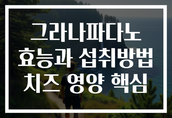 그라나파다노 효능과 섭취방법 치즈 영양 핵심