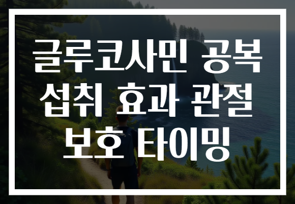 글루코사민 공복 섭취 효과 관절 보호 타이밍