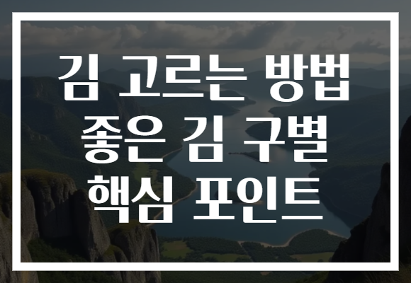 김 고르는 방법 좋은 김 구별 핵심 포인트