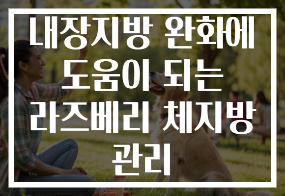 내장지방 완화에 도움이 되는 라즈베리 체지방 관리