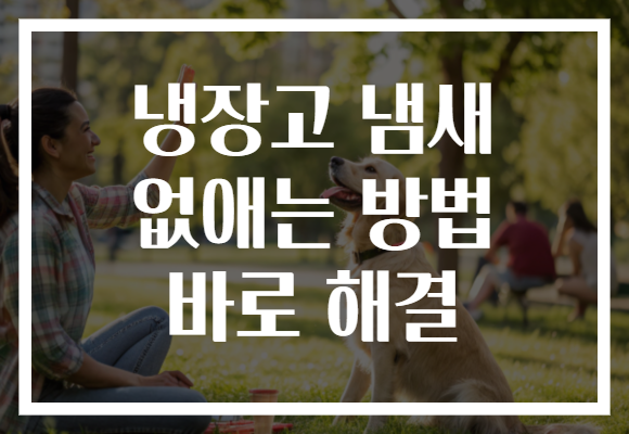 냉장고 냄새 없애는 방법 바로 해결