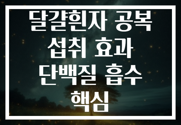 달걀흰자 공복 섭취 효과 단백질 흡수 핵심