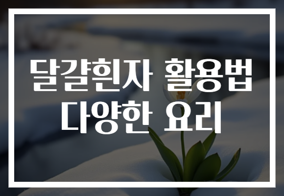 달걀흰자 활용법 다양한 요리