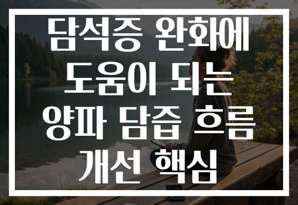 담석증 완화에 도움이 되는 양파 담즙 흐름 개선 핵심