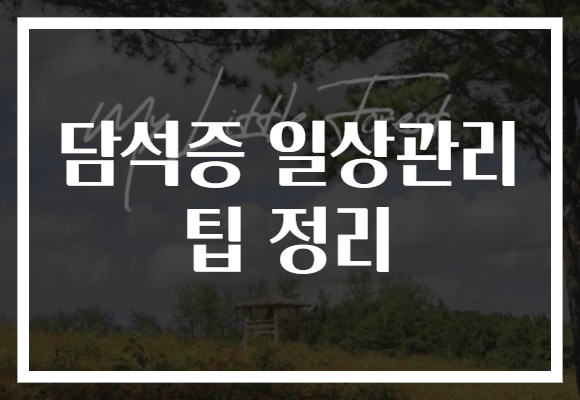 담석증 일상관리 팁 정리 담석증 일상관리 팁 정리