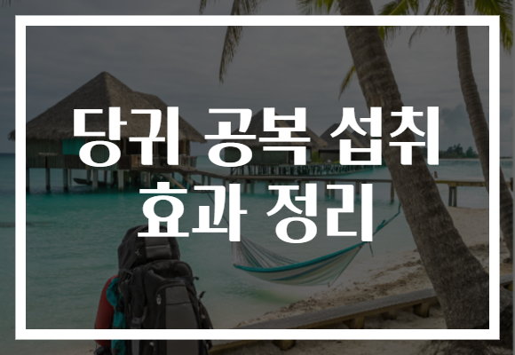 당귀 공복 섭취 효과 정리 당귀 공복 섭취 효과 정리