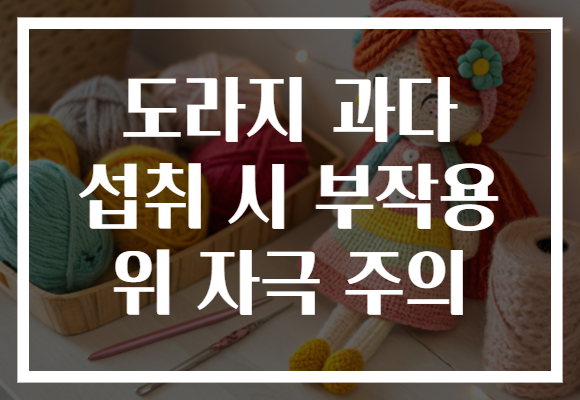 도라지 과다 섭취 시 부작용 위 자극 주의