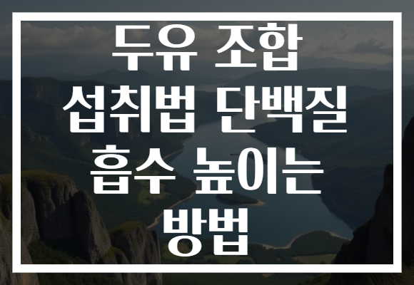 두유 조합 섭취법 단백질 흡수 높이는 방법