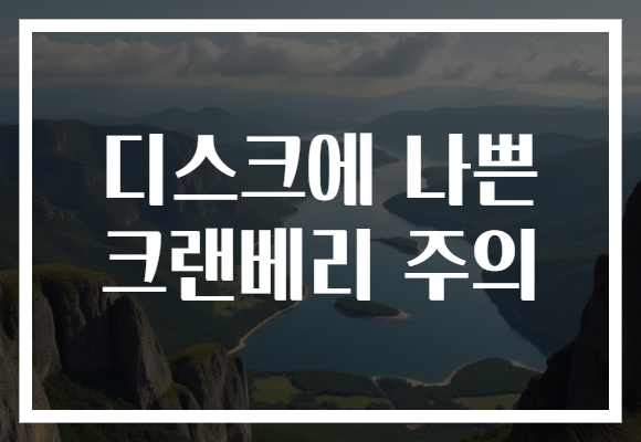 디스크에 나쁜 크랜베리 주의