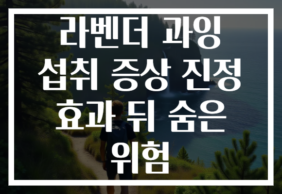라벤더 과잉 섭취 증상 진정 효과 뒤 숨은 위험