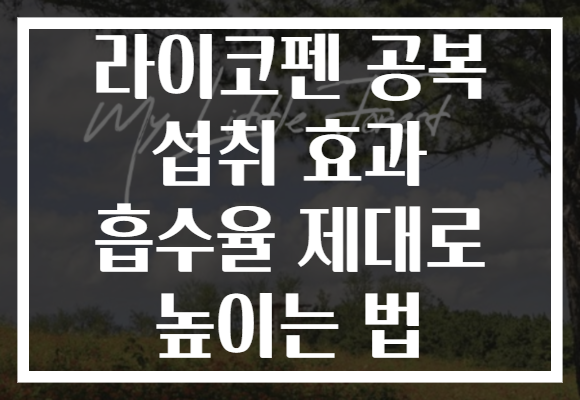 라이코펜 공복 섭취 효과 흡수율 제대로 높이는 법