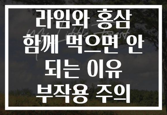 라임와 홍삼 함께 먹으면 안 되는 이유 부작용 주의