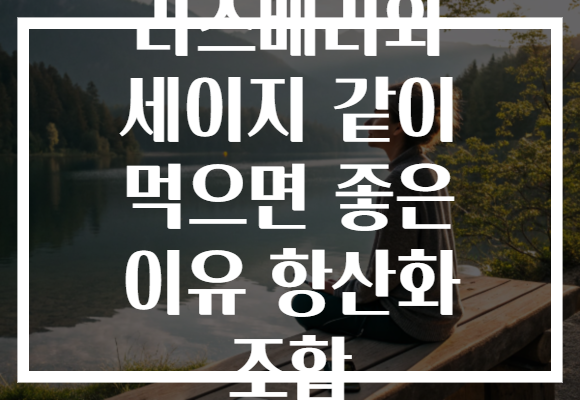 라즈베리와 세이지 같이 먹으면 좋은 이유 항산화 조합