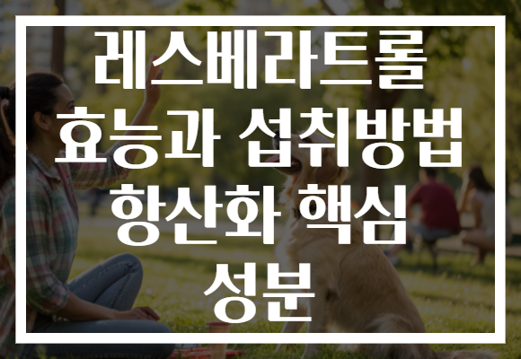 레스베라트롤 효능과 섭취방법 항산화 핵심 성분