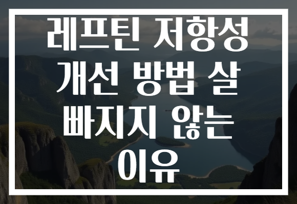 레프틴 저항성 개선 방법 살 빠지지 않는 이유