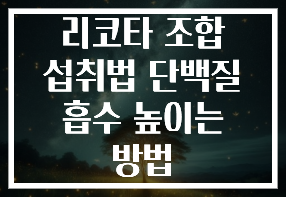 리코타 조합 섭취법 단백질 흡수 높이는 방법