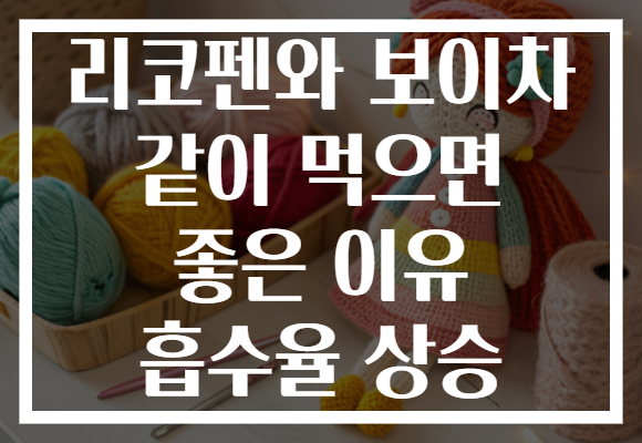 리코펜와 보이차 같이 먹으면 좋은 이유 흡수율 상승