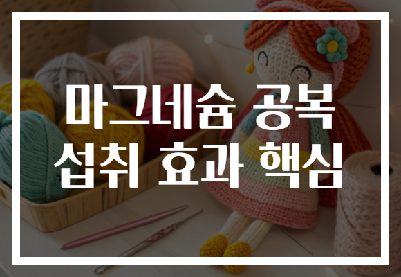 마그네슘 공복 섭취 효과 핵심