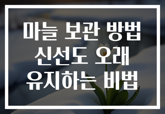 마늘 보관 방법 신선도 오래 유지하는 비법 마늘 보관 방법 신선도 오래 유지하는 비법