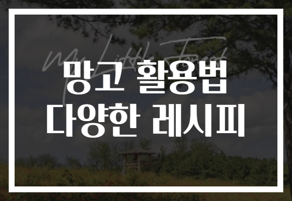 망고 활용법 다양한 레시피 망고 활용법 다양한 레시피