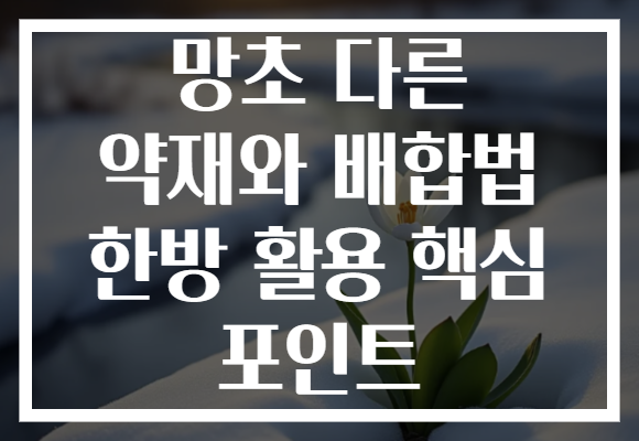 망초 다른 약재와 배합법 한방 활용 핵심 포인트