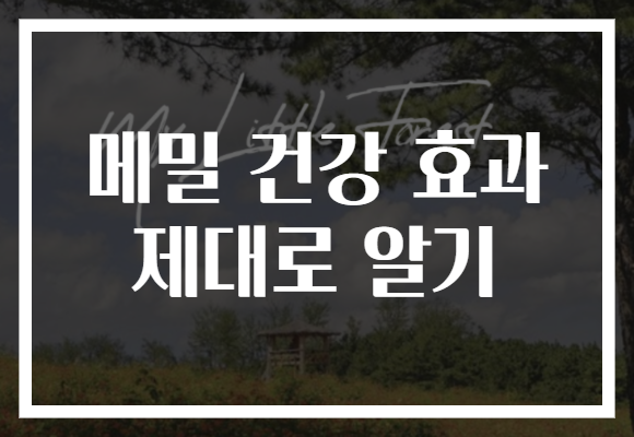 메밀 건강 효과 제대로 알기