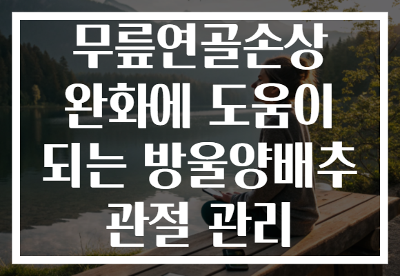 무릎연골손상 완화에 도움이 되는 방울양배추 관절 관리