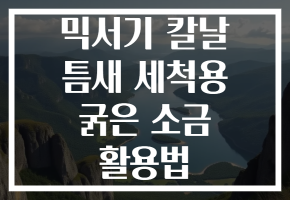 믹서기 칼날 틈새 세척용 굵은 소금 활용법
