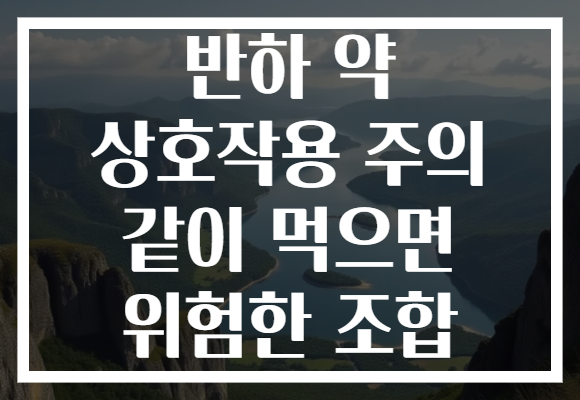반하 약 상호작용 주의 같이 먹으면 위험한 조합