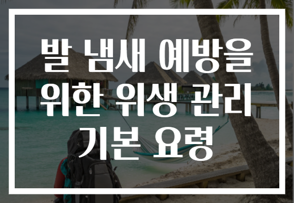 발 냄새 예방을 위한 위생 관리 기본 요령 발 냄새 예방을 위한 위생 관리 기본 요령