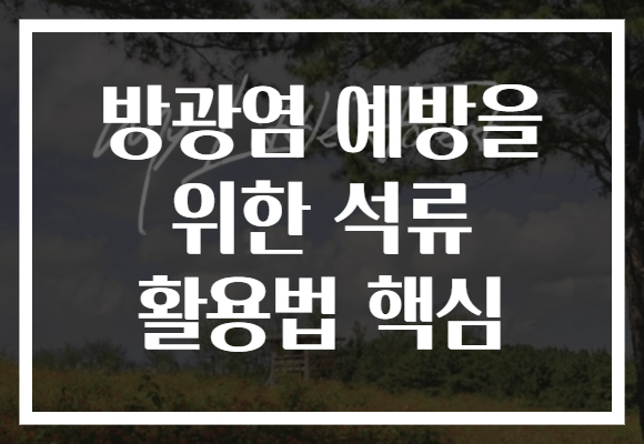 방광염 예방을 위한 석류 활용법 핵심