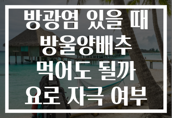 방광염 있을 때 방울양배추 먹어도 될까 요로 자극 여부