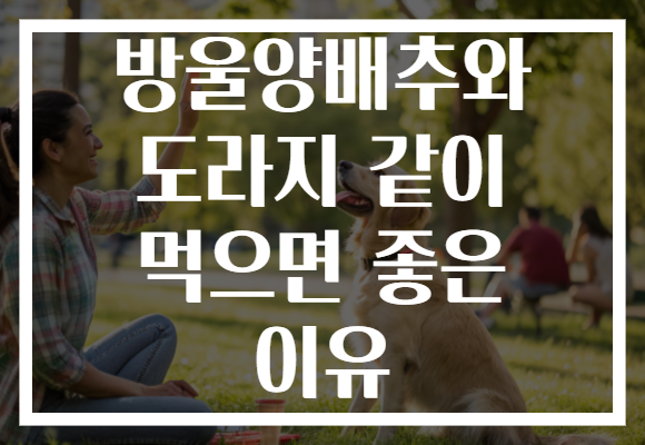 방울양배추와 도라지 같이 먹으면 좋은 이유