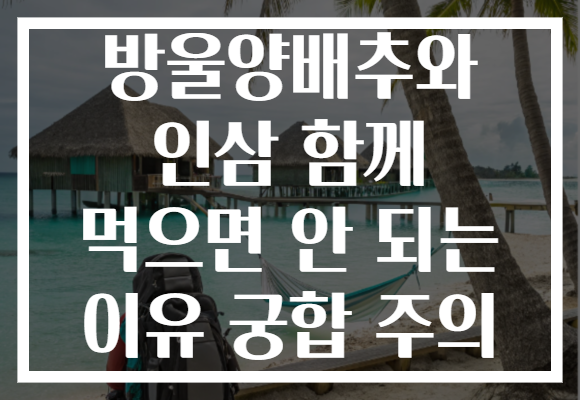 방울양배추와 인삼 함께 먹으면 안 되는 이유 궁합 주의
