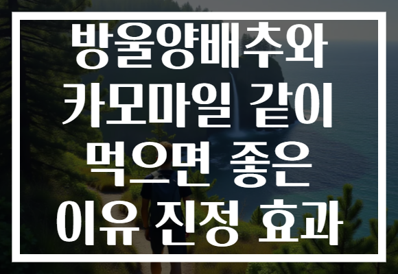 방울양배추와 카모마일 같이 먹으면 좋은 이유 진정 효과