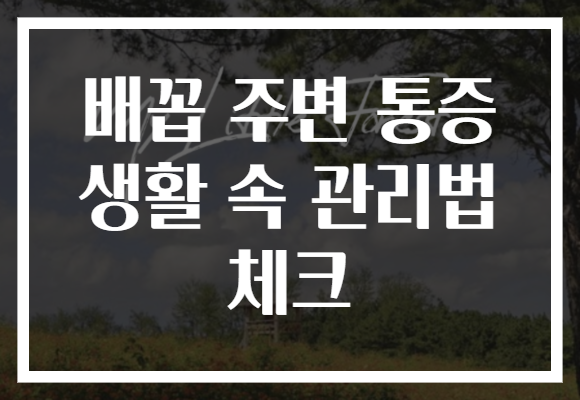 배꼽 주변 통증 생활 속 관리법 체크 배꼽 주변 통증 생활 속 관리법 체크