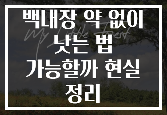 백내장 약 없이 낫는 법 가능할까 현실 정리