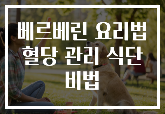 베르베린 요리법 혈당 관리 식단 비법