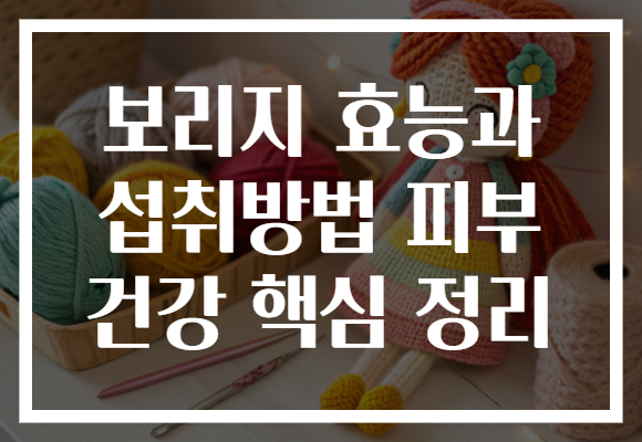 보리지 효능과 섭취방법 피부 건강 핵심 정리