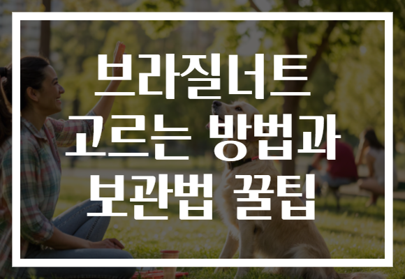 브라질너트 고르는 방법과 보관법 꿀팁 브라질너트 고르는 방법과 보관법 꿀팁