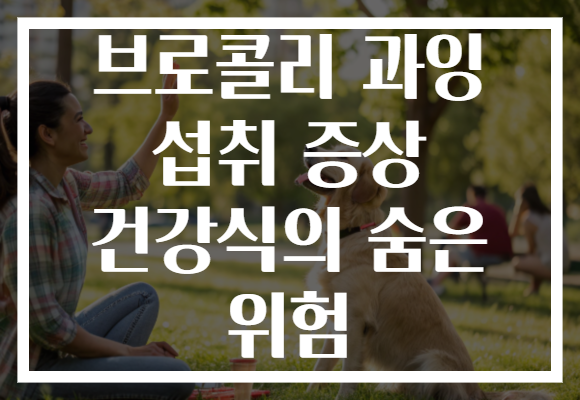 브로콜리 과잉 섭취 증상 건강식의 숨은 위험