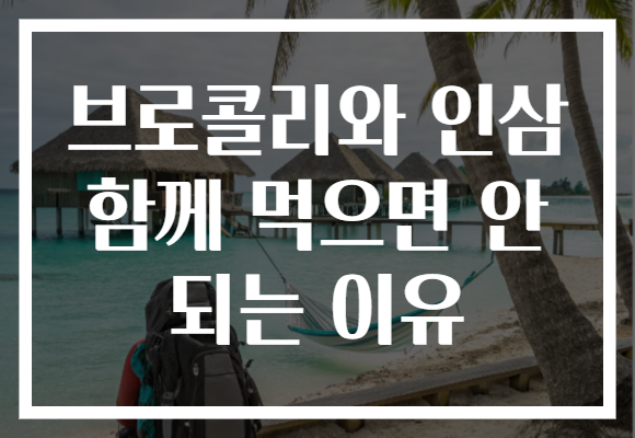 브로콜리와 인삼 함께 먹으면 안 되는 이유