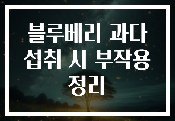 블루베리 과다 섭취 시 부작용 정리 블루베리 과다 섭취 시 부작용 정리