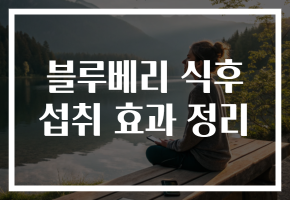 블루베리 식후 섭취 효과 정리 블루베리 식후 섭취 효과 정리