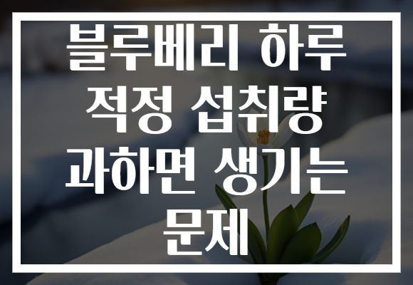 블루베리 하루 적정 섭취량 과하면 생기는 문제