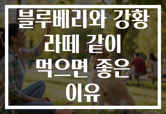 블루베리와 강황 라떼 같이 먹으면 좋은 이유