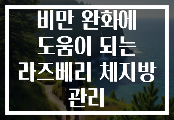 비만 완화에 도움이 되는 라즈베리 체지방 관리