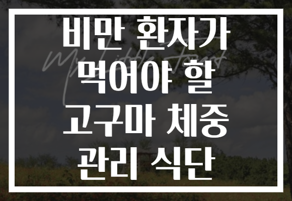 비만 환자가 먹어야 할 고구마 체중 관리 식단
