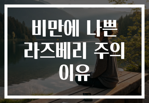 비만에 나쁜 라즈베리 주의 이유 비만에 나쁜 라즈베리 주의 이유